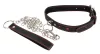 Bad Kitty Collar And Leash
