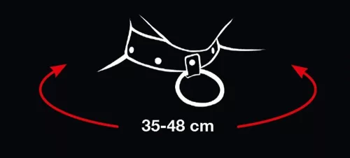 Bad Kitty Collar And Leash