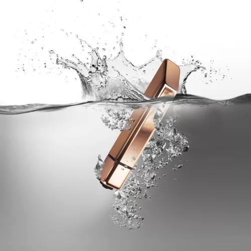 Bamboo Rose Gold 10 Speed