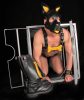 Puppy Set – sárga bőr fülek és nyelv a játékhoz