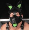 Puppy Set – zöld bőr fülekkel és nyelvvel