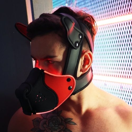 Poundtown Pup – fekete-piros kutyás maszk