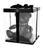 Leather Bear EDDY – BDSM teddy bear kék díszboxban