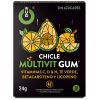 WUG GUM - prémium multivitamin C, H, D & antioxidánsok 10 db